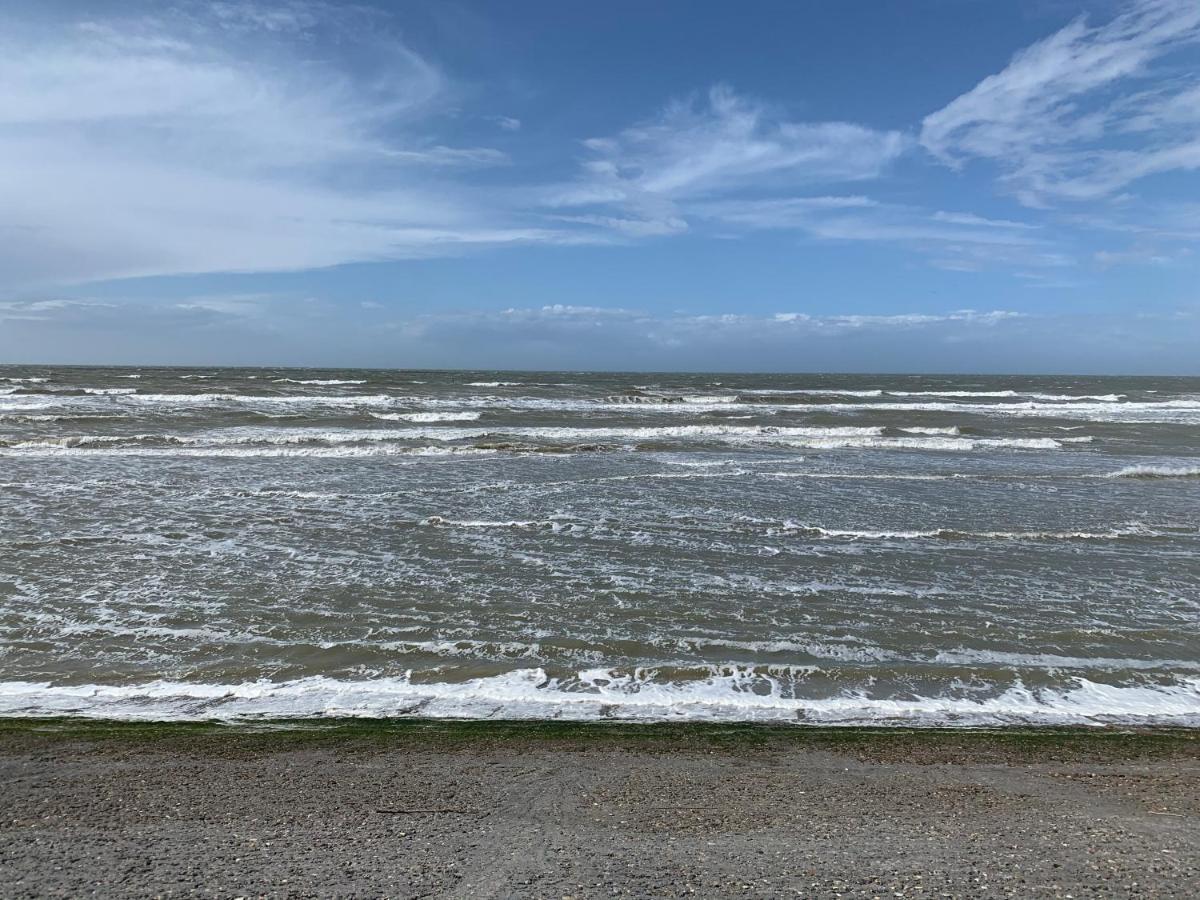 Duinendaele 232 Met Sauna Bij Plopsaland En Natuurreservaat De Panne Dış mekan fotoğraf