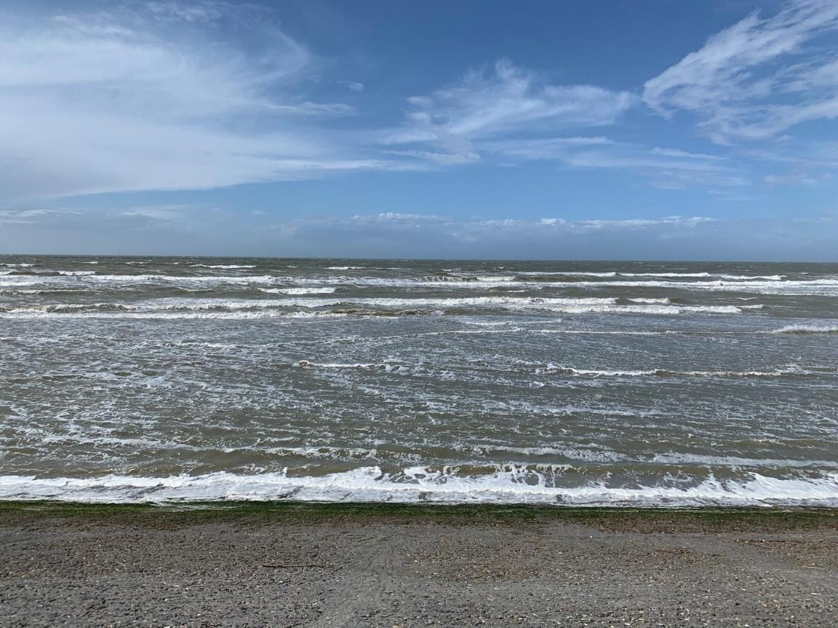 Duinendaele 232 Met Sauna Bij Plopsaland En Natuurreservaat Villa De Panne Dış mekan fotoğraf