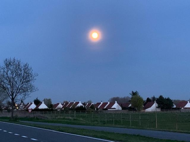 Duinendaele 232 Met Sauna Bij Plopsaland En Natuurreservaat De Panne Dış mekan fotoğraf