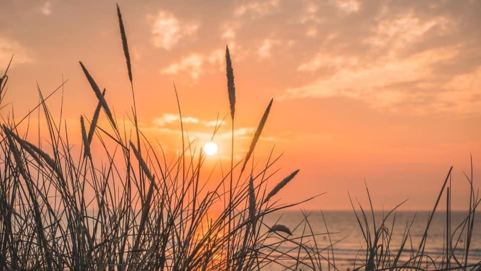 Duinendaele 232 Met Sauna Bij Plopsaland En Natuurreservaat De Panne Dış mekan fotoğraf